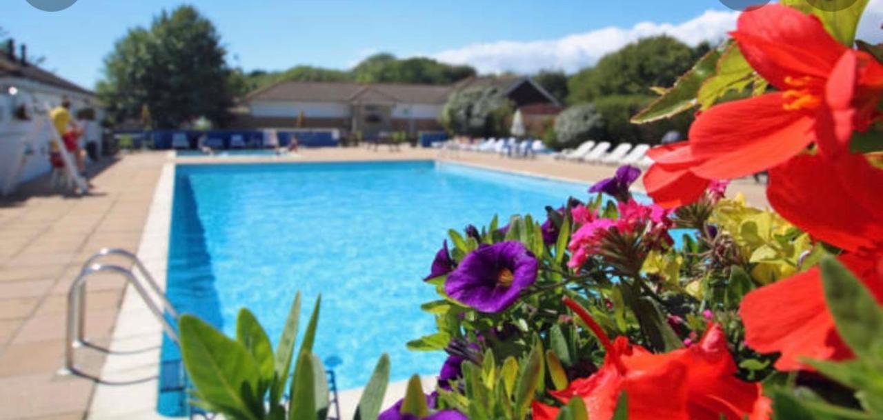 Jungle Lodge Lymington Exteriér fotografie
